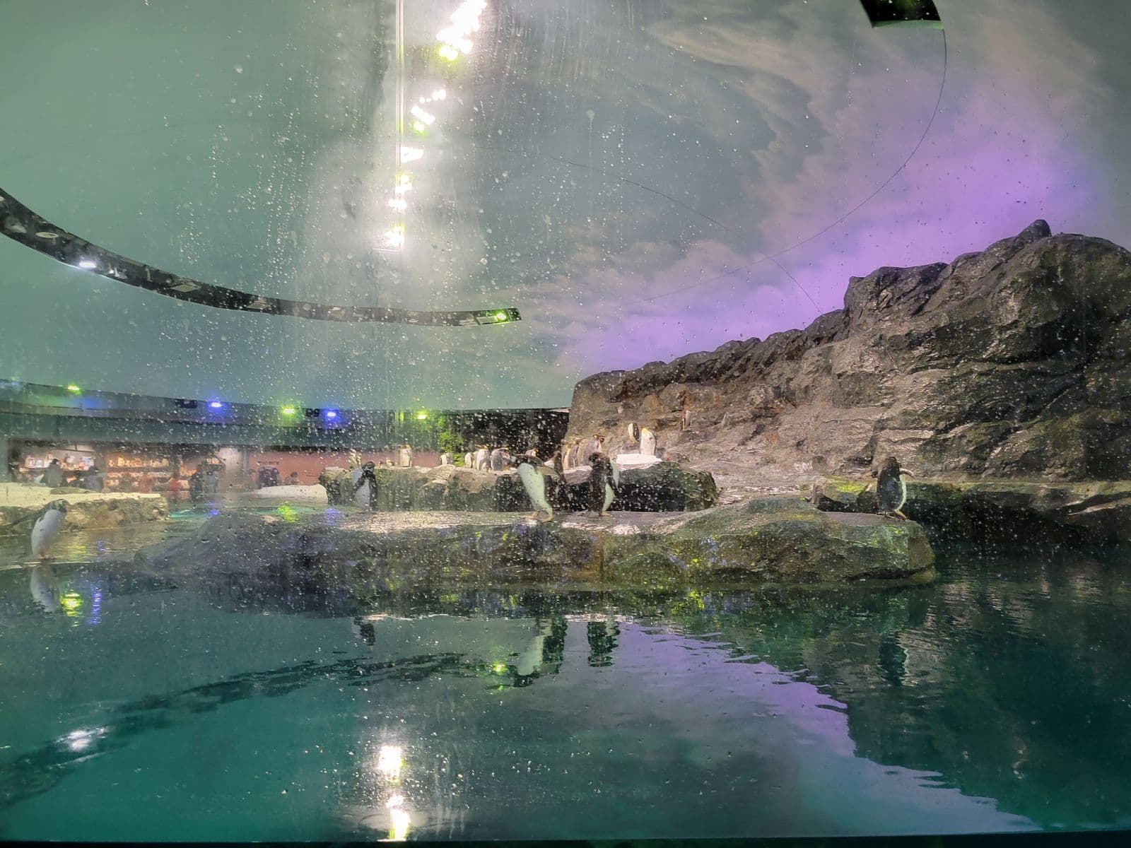 Singapore Mandai Zoo - Photo 12