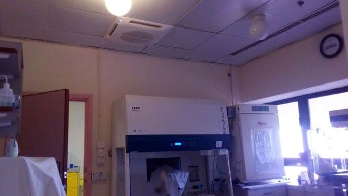 Queen Mary Hospital - Photo 2
